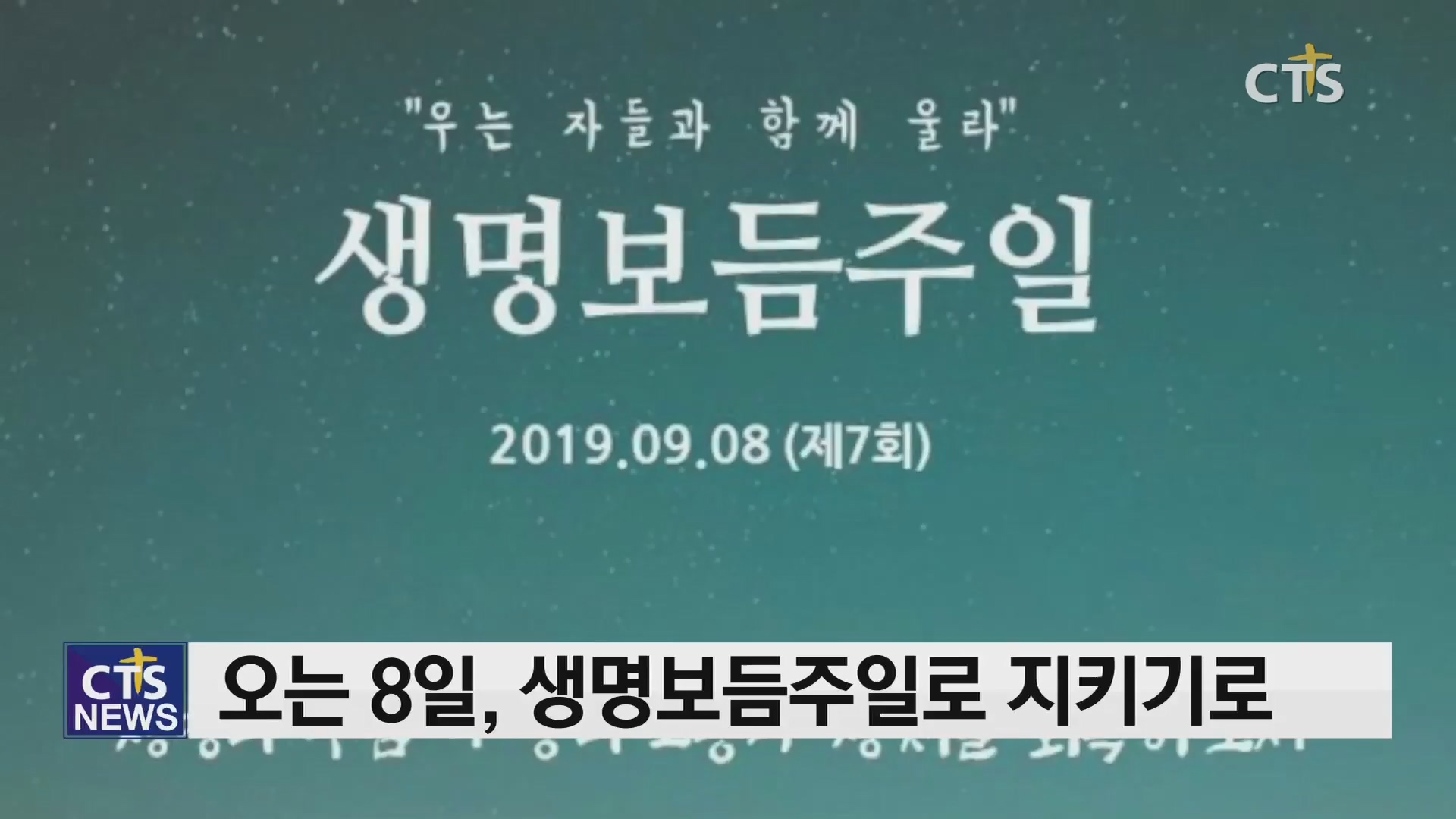 보듬라이프 이미지